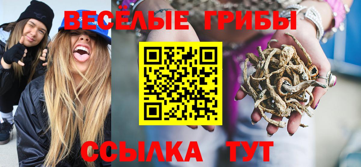 Галлюциногенные грибы Cubensis Родники